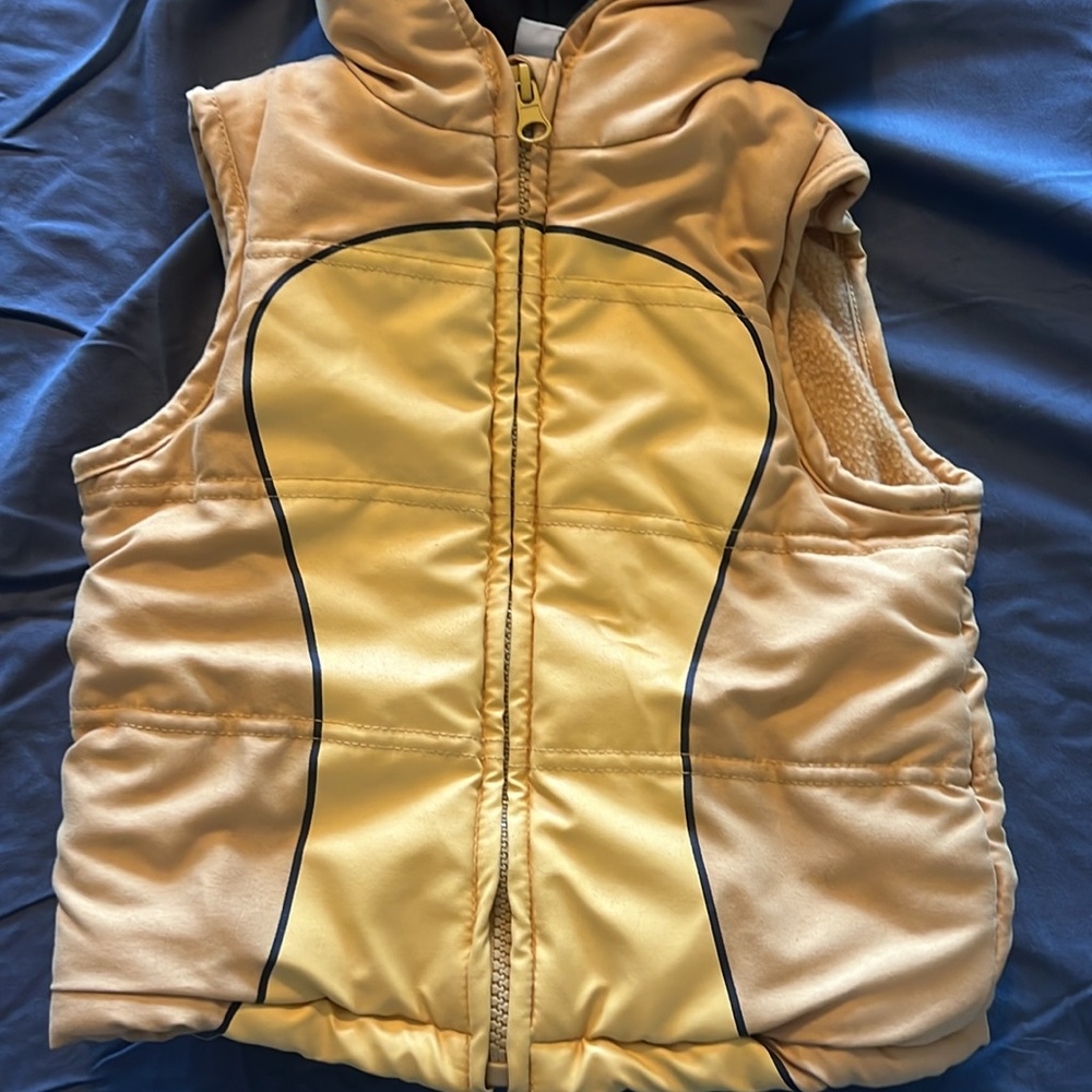 Disney Lion King Fleece Lined Hooded Vest Costume Toddler Size 2T Warm Outerwear - Picture 4 of 8